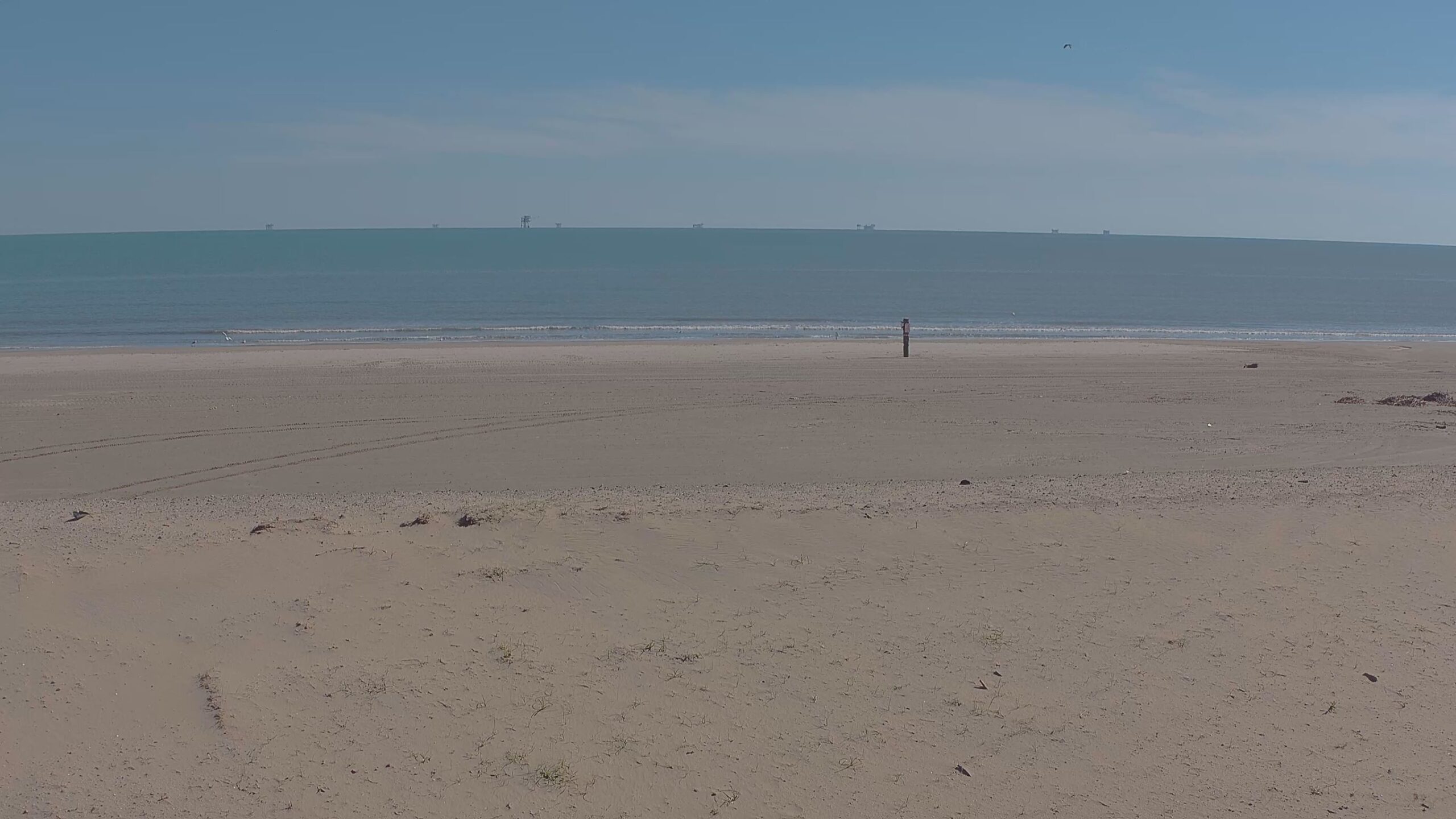 Coastal Realty Group - Live Beach Cam